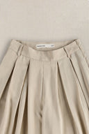 TAUPE ARCHITECT PLEATED PANTS